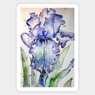 Purple Iris Watercolor and Ink Painting Sticker